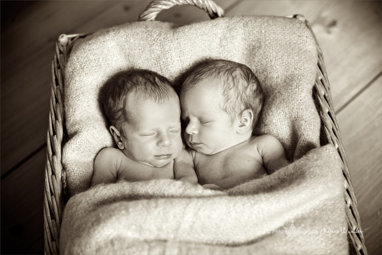 Babyfotos Zwillinge Freiberg