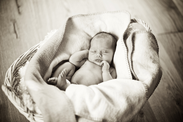 Babyfotografie Freiberg 